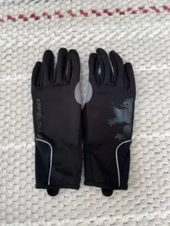 Item thumbnail for item 5ceb9b3b-bff9-4185-8907-f1bf53af31a3