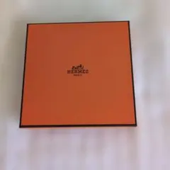 USED美品 エルメス HERMES Hエキップ ロングネックレス 朱赤 黄色