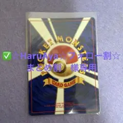 ✅☆HaruAya☆フォロー割☆まとめ割　様専用