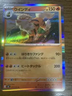 ウインディ XYE 対戦スタートセット30 エンブオーEX VSトゲキッスEX