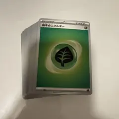 ポケモンカード　基本エネルギー　草　100枚