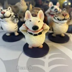 朝隈俊男　ハイポーズ　ブルテリア