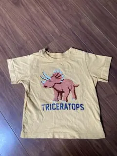 H&M恐竜スパンコールTシャツ