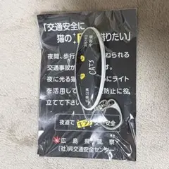 劇団四季キャッツスイングフラッシュかっ照君