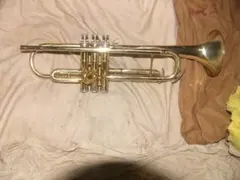 Item thumbnail for item d30698eb-dad0-4636-8ce5-9dcedea75072