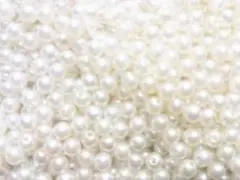 くろちゃん♡様専用