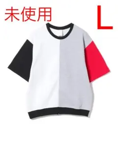 未使用 PRE_ ビームス別注 スウェット Ｔシャツ L クレイジーパターン