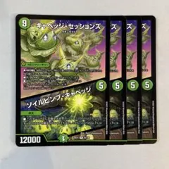 150462 キャベッジセッションズ　ソイルピンプキャベッジ