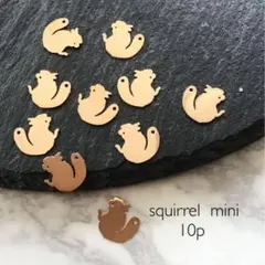 squirrel mini