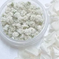 cocomama様 リクエスト 2点 まとめ商品