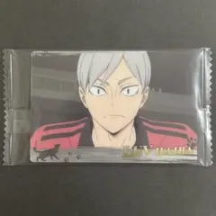【同梱100円】ハイキュー　ウエハース6 灰羽リエーフ