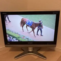 ★SHARP AQUOS LC-20E5 液晶テレビ本体