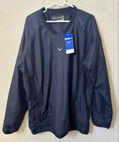 Item thumbnail for item c0101147-b6b2-4aec-98c7-86970cdba5f0