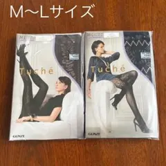 未使用、グンゼ、タイツ、2点セット