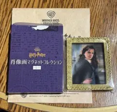 Harry Potter 肖像画 マグネット コレクション ハーマイオニー