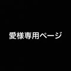専用ページ