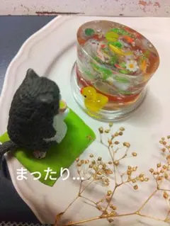 Item thumbnail for item 90967c70-8b42-412c-9231-947d01228842