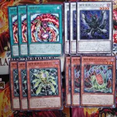 遊戯王　捕食植物デッキパーツ