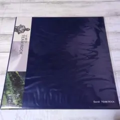 2026年最新】くるり レコード team rockの人気アイテム - メルカリ