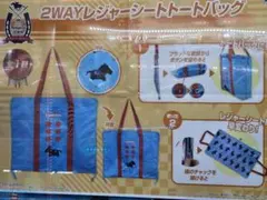 2WAYレジャーシートトートバッグ （イクイノックス）