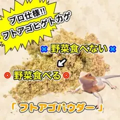 Item thumbnail for item 1b4e5be3-cbdb-44ba-a5c2-5ae10386180a