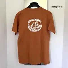 patagonia パタゴニア Beneficial T’s Print Tee