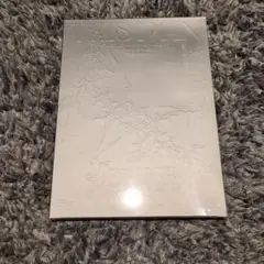 SEVENTEEN this man J&W 新品未開封 ジョンハン ウォヌ