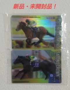 Item thumbnail for item c416de1a-9919-4cc3-add5-a427b15103c0