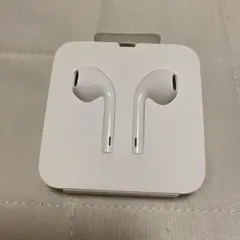 Apple EarPods with Lightning Connector