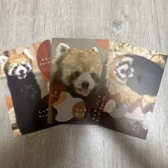 Item thumbnail for item 92d80e64-0f4a-4a06-bdd6-26e7c47bb97b