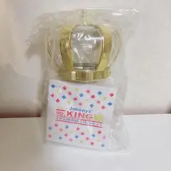 Mr.KING ペンライト　SUMMER STATION サマステ