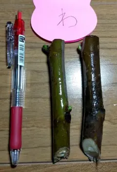 まるみ。様 リクエスト 2点 まとめ商品