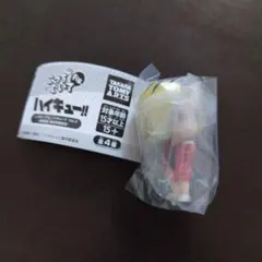 こっちむいてFig.　ハイキュー！！　孤爪研磨