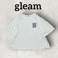 gleam 半袖Tシャツ 刺繍ワンポイント レディース (M)ホワイト ゆったりのサムネイル