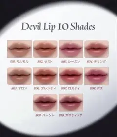 Laka デビルリップ口紅 10個セット