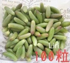 2025年最新】多肉植物の葉挿しの人気アイテム - メルカリ