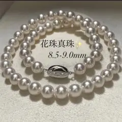 無調色ゴールド系アコヤ真珠 ネックレス 7.0-7.5mm / 真科研鑑別書付き