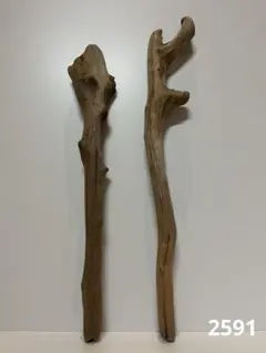 流木【2591】　2点セット
