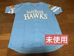 Item thumbnail for item 00d9c983-3ee1-4e01-b9ea-1c2994704028