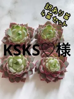 KSKS♡様 リクエスト 2点 他バラまとめ商品