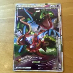2025年最新】Pokemon Card Game カード名：レックウザ＆デオキシス