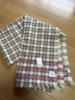 Item thumbnail for item 99fdeb73-200f-4de7-9a2f-599ae8f63a89