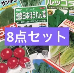 えらべる‼️便利野菜の種８点セット　小分け
