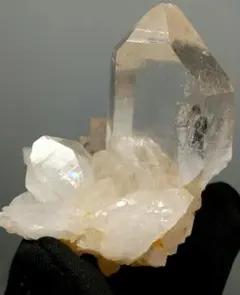 Borders様 リクエスト 3点 まとめ商品