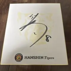 佐藤輝明 球団創設初 新人選手1試合3本塁打記念 直筆サイン入りフォト【BBM】 佐藤輝明 新人1試合3本塁打記念 直筆サイン入りフォトパネル（新品
