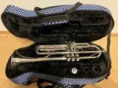 2025年最新】トランペット ケース yamahaの人気アイテム - メルカリ
