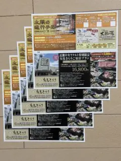 有馬温泉　太閤の湯　入館割引券 2026年2月28日まで5枚販売