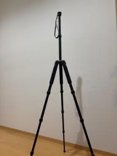 Item thumbnail for item d6e0c651-0139-4982-8200-b9387bf0f7e5