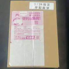 バトルパートナーズ ポケセン産1BOX プロモ1枚