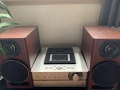 ＳＯＮＹ　ＮＡＳ－Ｍ９５ＨＤ　無線LANアダプター付　ネットジューク ソニー、DLNAサーバ機能装備の「ネットジューク」3機種